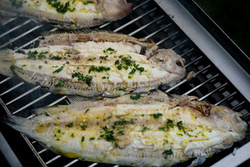 Frisch gegrillte Seezunge Solea Solea