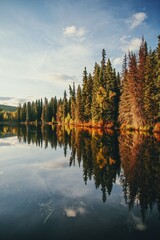 Reflection of trees, clouds on a lake in Alaska