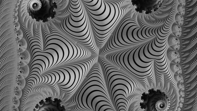 A 4K video showcases a journey through a complex monochrome fractal pattern with intricate details, using a pseudo 3D visualization style