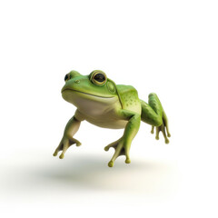 Obraz premium A green tree frog with bright eyes, isolated on a white background