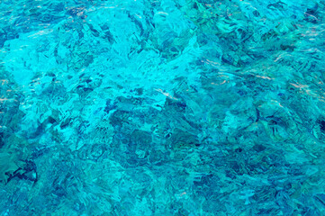 Vibrant Water Ripples Above Red Sea Coral