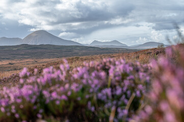 Scottish Highlands landscape