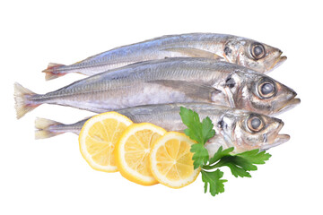 Fish horse mackerel isolated