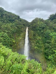 Tropical forest waterfall with lush trees on both sides in Hawaii