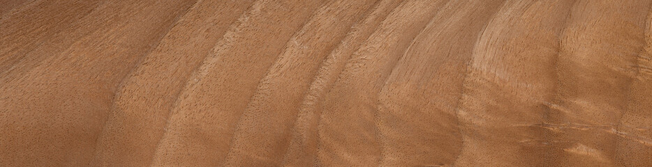 Walnut feather veneer with flowing grain and warm caramel tones