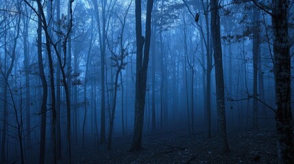 Obraz premium Moody forest at twilight with eerie glow