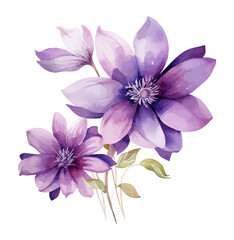 watercolor purple flower clipart for graphic resources