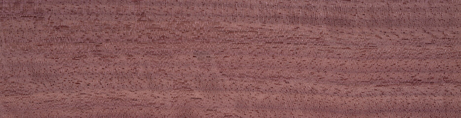 Evaporated lime veneer with a fine, even grain and soft beige color