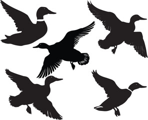 Flying duck silhouette