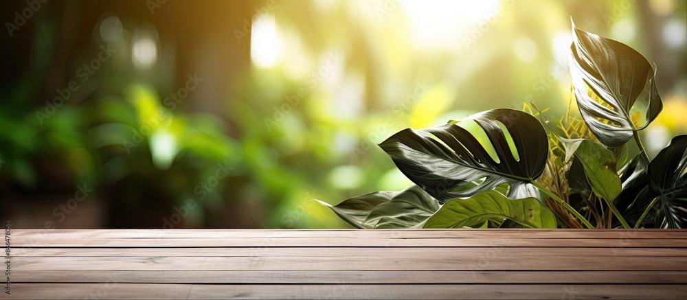Poster Tropical leaves embellish an empty wooden table with a blurred background serving as a copy space image for product presentation and the option to add text