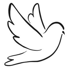 dove of peace Flying Pigeon Freedom