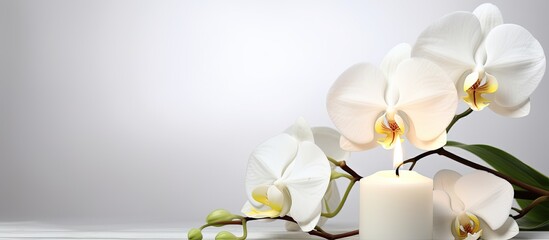 Image of a serene angel sitting next to a phalaenopsis flower and a burning candle all isolated on a white background conveying the concept of condolences. copy space available
