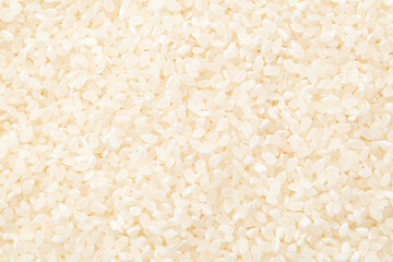 ジャポニカ米の背景