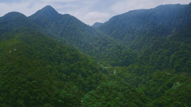 Aerial drone captures Tarapoto's majestic mountains cloaked in verdant trees, shrouded by clouds.