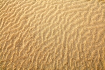 Sand dunes Morocco desert texture