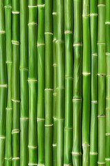 Detailed view of lush green bamboo stalks highlighting their natural texture and beauty