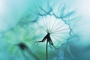 Macro shot of dandelion seed in soft blue sky with others dispersing, emphasizing delicate texture