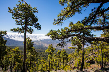 Landscape in Bejenado Peak in Caldera de Taburiente, La Palma, Spain