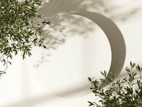 Fototapeta Top view of modern, minimal beige geometric round cylinder podium, green tree twig in sunlight, shadow on wall for luxury beauty, skincare, cosmetic, body care product display background 3D