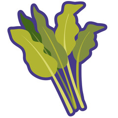 Water spinach  vegetable cartoon icon vector illustration, morning glory or sayuran kangkung, healthy green leafy vegetables, kangkong ipomoea aquatica river spinach, swamp cabbage ong choy