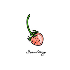 Pink Strawberry. Color berries set. Hand-drawn flat image. Vector illustration on a white background.