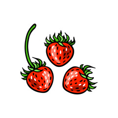 Red wild strawberry. Three berries. Hand-drawn flat image. Vector illustration on a white background.
