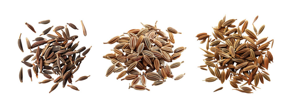 Dried Cumin Seeds in Three Piles on Transparent Background