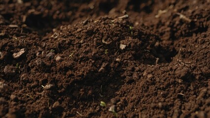 Natural Brown Dirt Macro Shot