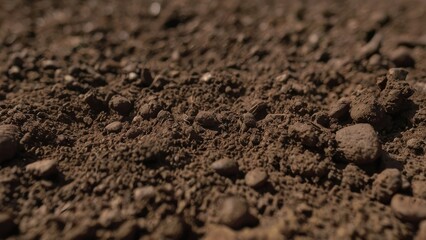 High-Resolution Topsoil Texture