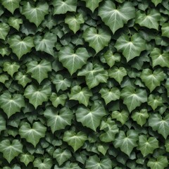 Fototapeta premium Background, abstraction, texture from various green leaves