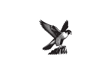 Fototapeta premium Peregrine Falcon silhouette vector style with white background11