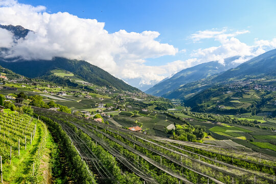 Dorf Tirol, Passeier, Fluss, Passeiertal, Vorderpasseier, Hafling, Meran, Weinberge, Obstb&auml;ume, Landwirtschaft, Wanderweg, Fr&uuml;hling, Sommer, S&uuml;dtirol, Italien