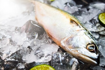 close up of raw mackerel on ice cubes