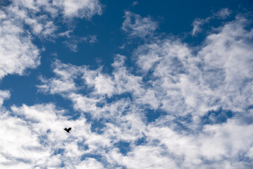 pattern blue day sky with white clouds