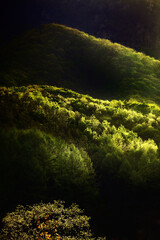 산등성이위로 비추는 강렬한 햇빛.