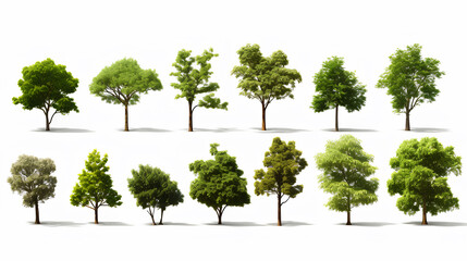 set of trees isolated