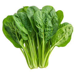 Spinach Isolated on a Transparent Background
