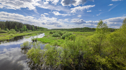 A winding stream flows through a lush green forest, reflecting the blue sky and puffy white clouds above.