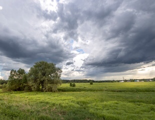 verdant meadow stretches out before a picturesque backdrop of dark, brooding clouds. The sky is filled with a sense of impending storm, while the green grass below basks in the last rays of sunshine.