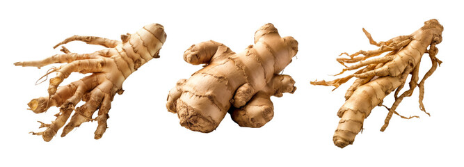 Fototapeta premium Fresh Ginger Roots Isolated on Transparent Background