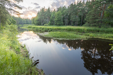 A tranquil scene of a winding river flowing through a dense forest. The setting sun casts warm light on the water, creating beautiful reflections of the surrounding trees and clouds.