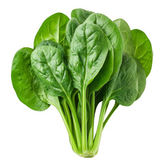 Spinach Isolated on a Transparent Background