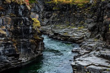 Fototapeta premium River landscape area in Abisko national park in north of Sweden