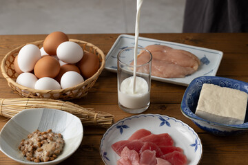 タンパク質食材イメージ