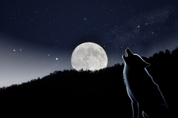 The howling wolf under the full moon