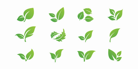 Green leaf ecology icons set