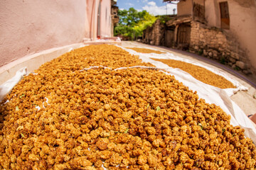 Mulberries laid out to dry, Ağın, Elazığ, Türkiye