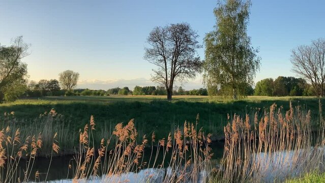 Beautiful Nature view in the Spree forest region near Burg