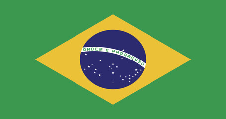 Illustration of the national flag of Brazil