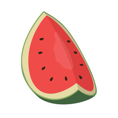 Slices of red watermelon vector illustration isolated on white background